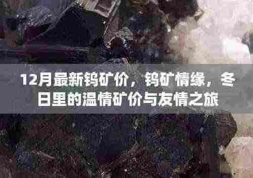钨矿情缘,十二月最新矿价与冬日温情之旅