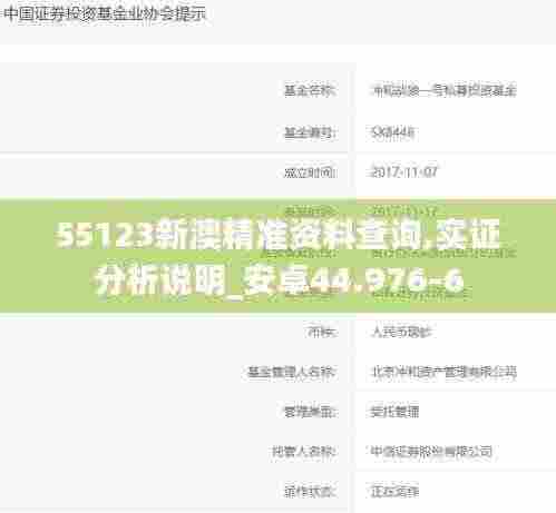 55123新澳精准资料查询,实证分析说明_安卓44.976-6
