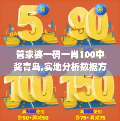 管家婆一码一肖100中奖青岛,实地分析数据方案_Q97.699-6