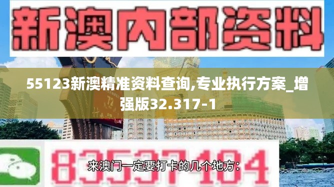 55123新澳精准资料查询,专业执行方案_增强版32.317-1