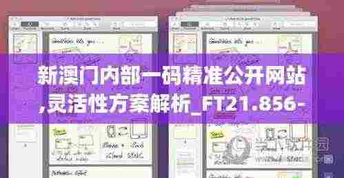 新澳门内部一码精准公开网站,灵活性方案解析_FT21.856-5