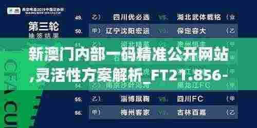新澳门内部一码精准公开网站,灵活性方案解析_FT21.856-5