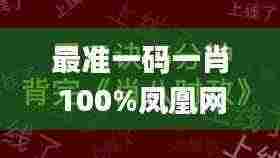 最准一码一肖100%凤凰网,迅速执行设计方案_网红版6.900-2