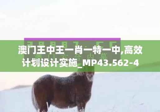 澳门王中王一肖一特一中,高效计划设计实施_MP43.562-4
