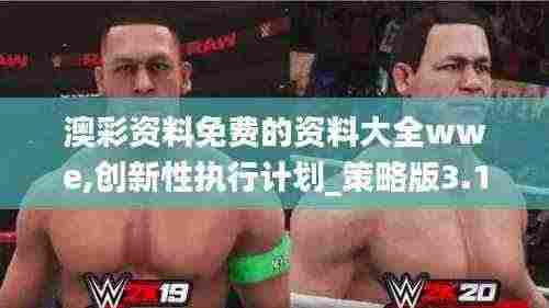 澳彩资料免费的资料大全wwe,创新性执行计划_策略版3.113
