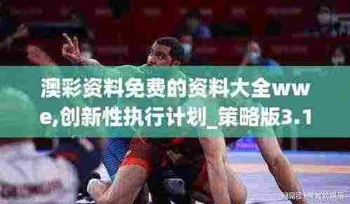 澳彩资料免费的资料大全wwe,创新性执行计划_策略版3.113