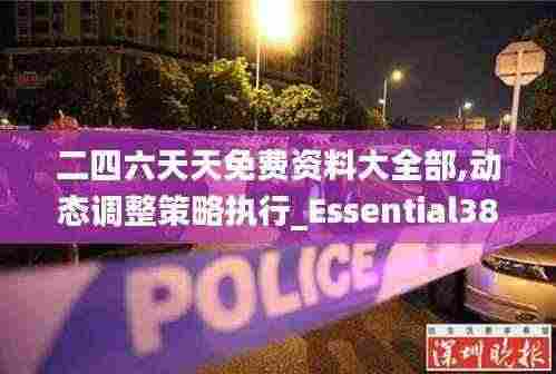 二四六天天免费资料大全部,动态调整策略执行_Essential38.621