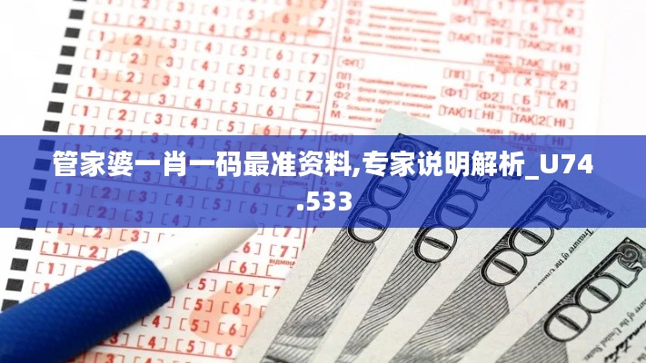 管家婆一肖一码最准资料,专家说明解析_U74.533