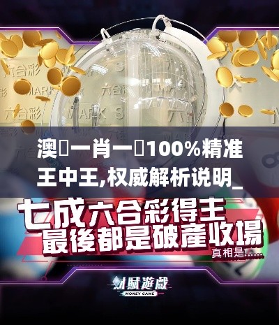 澳門一肖一碼100%精准王中王,权威解析说明_S98.927