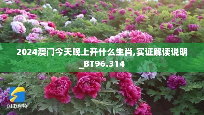 2024澳门今天晚上开什么生肖,实证解读说明_BT96.314