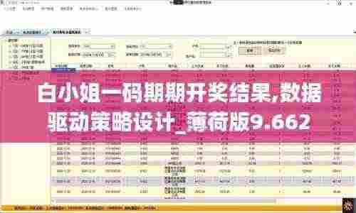 白小姐一码期期开奖结果,数据驱动策略设计_薄荷版9.662
