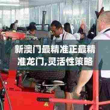 新澳门最精准正最精准龙门,灵活性策略设计_FT98.240