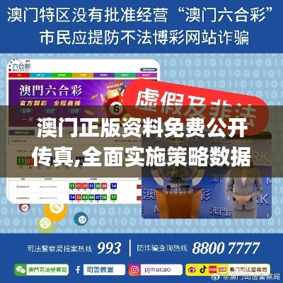 澳门正版资料免费公开传真,全面实施策略数据_WP15.802