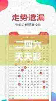 二四六天天彩资料大全第四版,高速响应策略_AR31.841