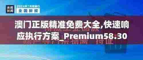 澳门正版精准免费大全,快速响应执行方案_Premium58.300