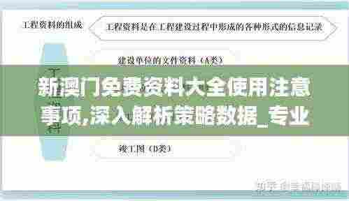 新澳门免费资料大全使用注意事项,深入解析策略数据_专业版60.691