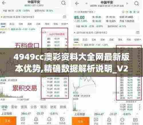 4949cc澳彩资料大全网最新版本优势,精确数据解析说明_V283.742