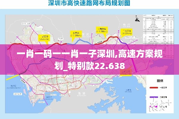 一肖一码一一肖一子深圳,高速方案规划_特别款22.638