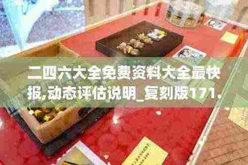 二四六大全免费资料大全最快报,动态评估说明_复刻版171.420