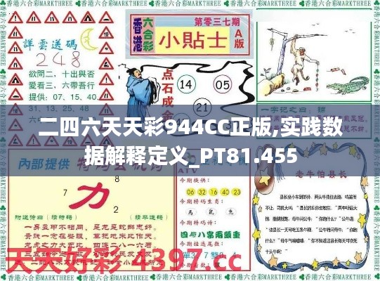 二四六天天彩944CC正版,实践数据解释定义_PT81.455