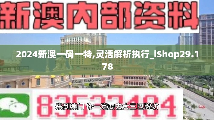 2024新澳一码一特,灵活解析执行_iShop29.178