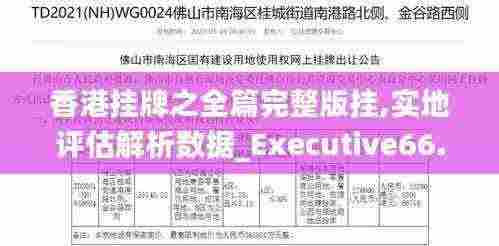 香港挂牌之全篇完整版挂,实地评估解析数据_Executive66.758