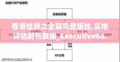 香港挂牌之全篇完整版挂,实地评估解析数据_Executive66.758