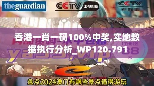 香港一肖一码100%中奖,实地数据执行分析_WP120.791