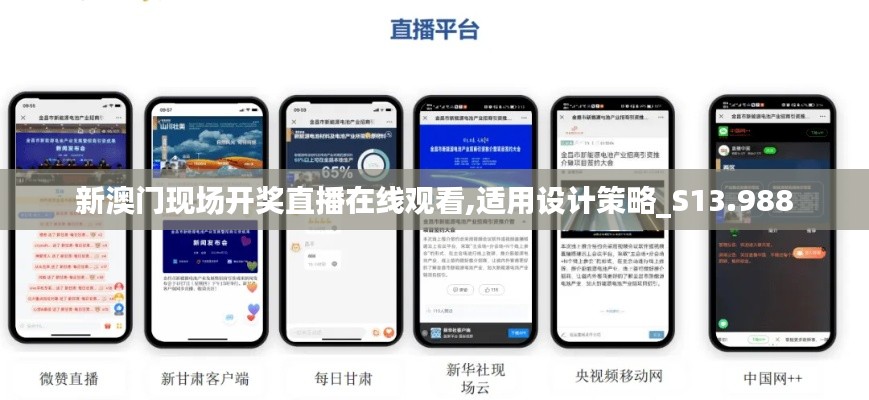 新澳门现场开奖直播在线观看,适用设计策略_S13.988