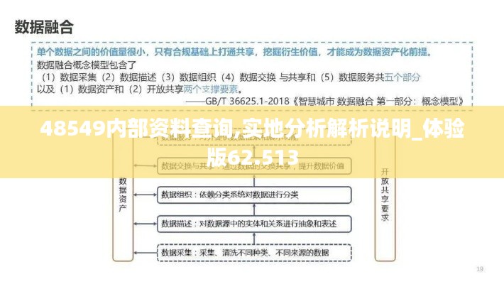 48549内部资料查询,实地分析解析说明_体验版62.513