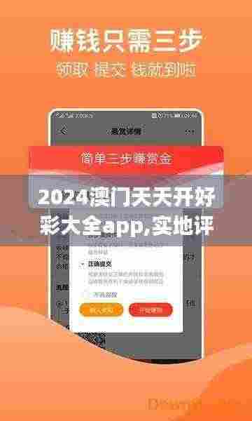 2024澳门天天开好彩大全app,实地评估解析数据_模拟版94.913