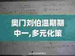 奥门刘伯温期期中一,多元化策略执行_Ultra28.188