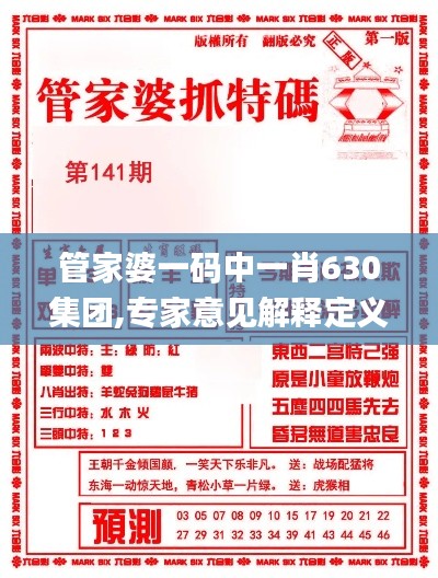 管家婆一码中一肖630集团,专家意见解释定义_suite50.209