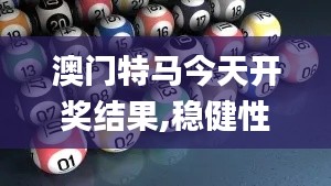 澳门特马今天开奖结果,稳健性策略评估_QHD版30.366