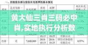 黄大仙三肖三码必中肖,实地执行分析数据_模拟版60.880