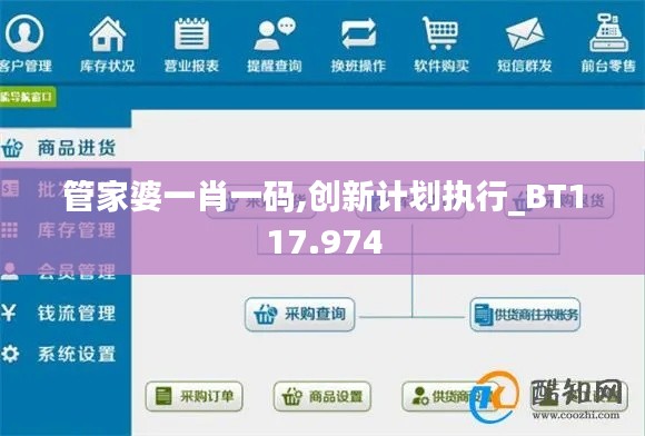 管家婆一肖一码,创新计划执行_BT117.974