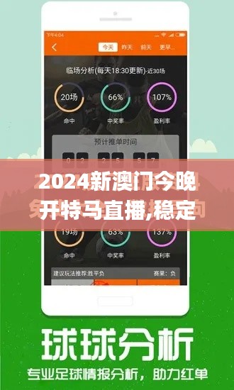 2024新澳门今晚开特马直播,稳定性策略设计_bundle3.674