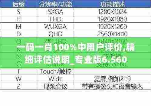 一码一肖100%中用户评价,精细评估说明_专业版6.560