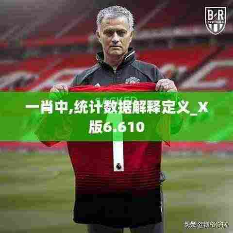 一肖中,统计数据解释定义_X版6.610
