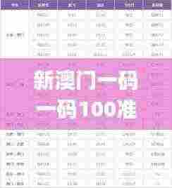 新澳门一码一码100准确,探索与解析_挑战款3.362