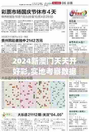 2024新澳门天天开好彩,实地考察数据设计_运动版8.789