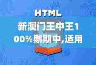 新澳门王中王100%期期中,适用设计解析策略_轻量版1.910