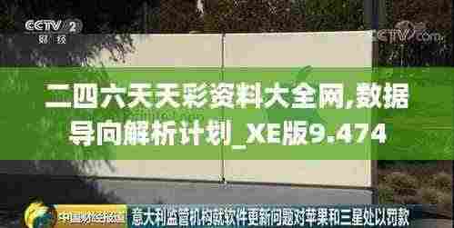 二四六天天彩资料大全网,数据导向解析计划_XE版9.474