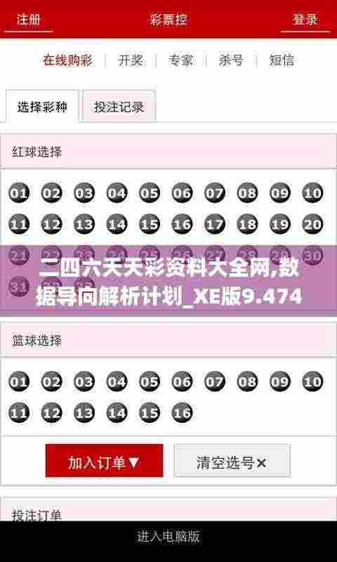 二四六天天彩资料大全网,数据导向解析计划_XE版9.474