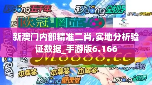 新澳门内部精准二肖,实地分析验证数据_手游版6.166