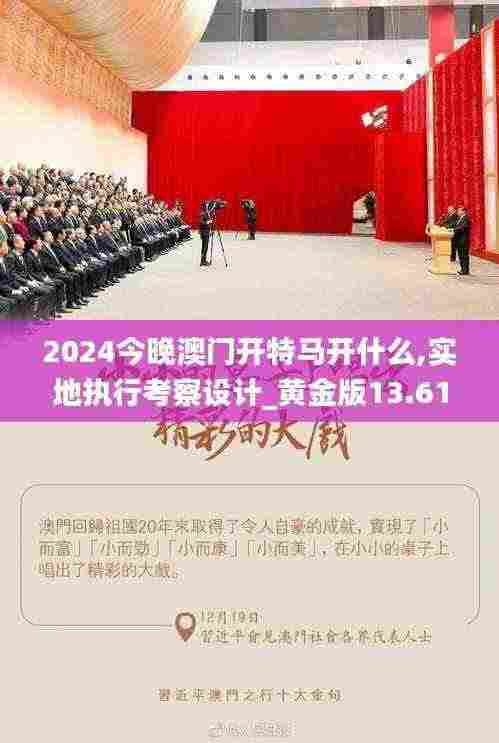 2024今晚澳门开特马开什么,实地执行考察设计_黄金版13.612