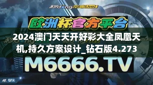 2024澳门天天开好彩大全凤凰天机,持久方案设计_钻石版4.273