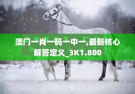 澳门一肖一码一中一,最新核心解答定义_3K1.800
