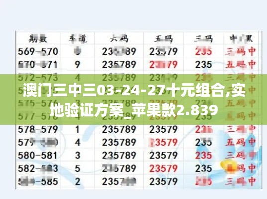 澳门三中三03-24-27十元组合,实地验证方案_苹果款2.839