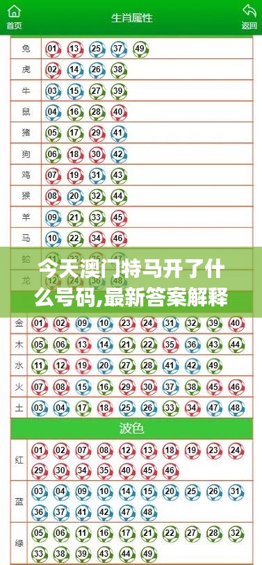 今天澳门特马开了什么号码,最新答案解释定义_豪华版8.883